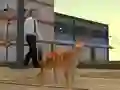 Gêm Cat City Simulator ar-lein