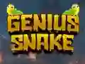 Gêm Genius Snake ar-lein