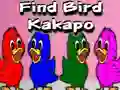 Gêm Find Bird Kakapo ar-lein
