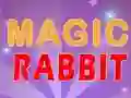 Gêm Magic Rabbit ar-lein