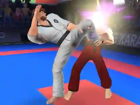 Gêm Karate Fighter ar-lein
