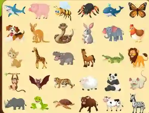 Gêm Discover Animals ar-lein