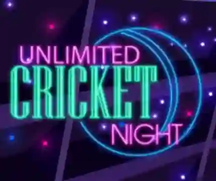 Gêm Unlimited Cricket Night ar-lein