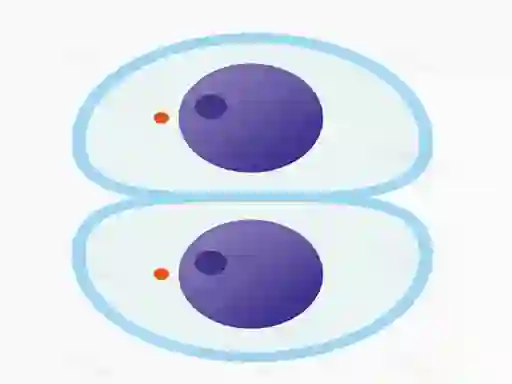 Gêm Cutting master ar-lein
