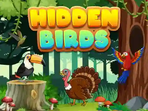 Gêm Hidden Birds ar-lein