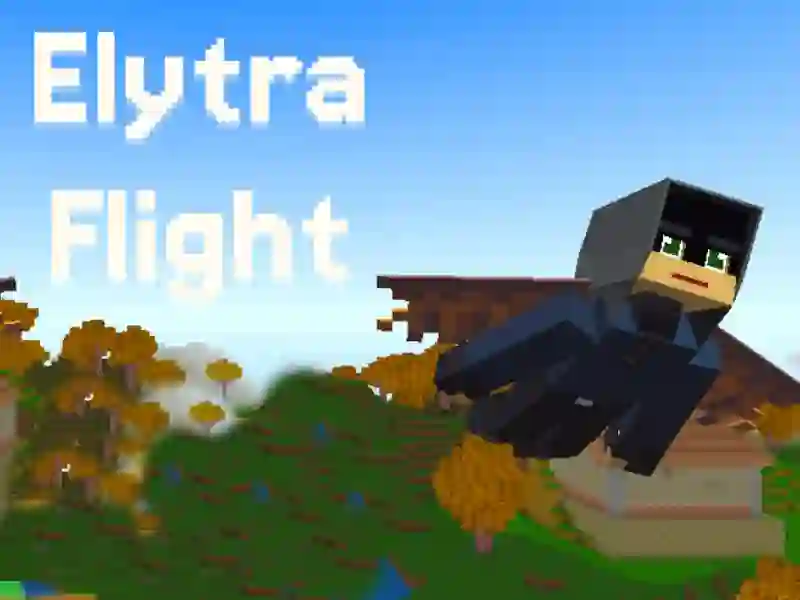 Gêm Elytra Flight ar-lein