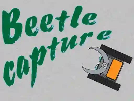 Gêm Beetle Capture ar-lein