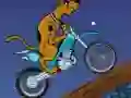 Gêm Scooby Doo Trail ar-lein