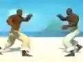 Gêm Capoeira fighter ar-lein