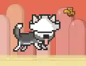 Gêm Mr Jump Husky ar-lein