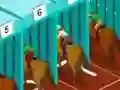 Gêm Derby racing ar-lein