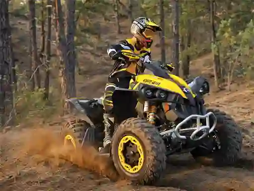 Gêm ATV Offroad Puzzle ar-lein