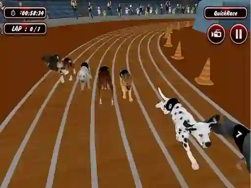 Gêm Crazyl Dog Racing Fever ar-lein