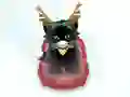 Gêm Pet Sledding ar-lein