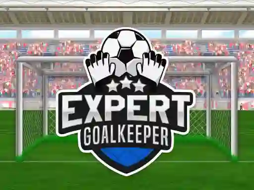 Gêm Expert Goalkeeper ar-lein