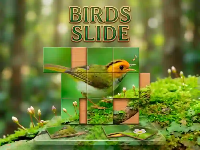 Gêm Birds Slide ar-lein