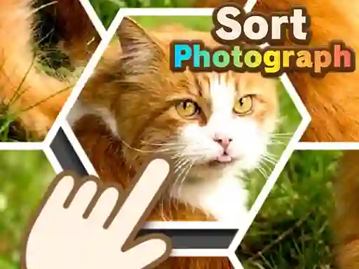 Gêm Sort Photograph ar-lein
