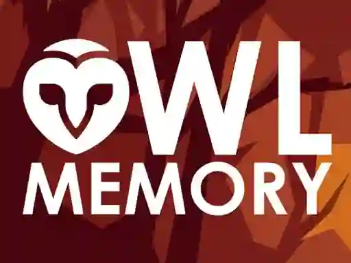 Gêm Owl Memory ar-lein