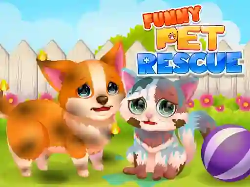 Gêm Funny Rescue Pet ar-lein