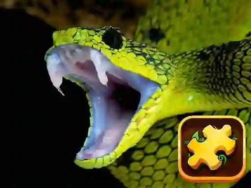 Gêm Snake Puzzle Challenge ar-lein
