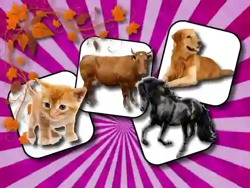 Gêm Domestic Animal Memory Challenge ar-lein