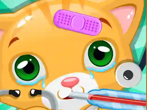 Gêm Little Cat Doctor ar-lein