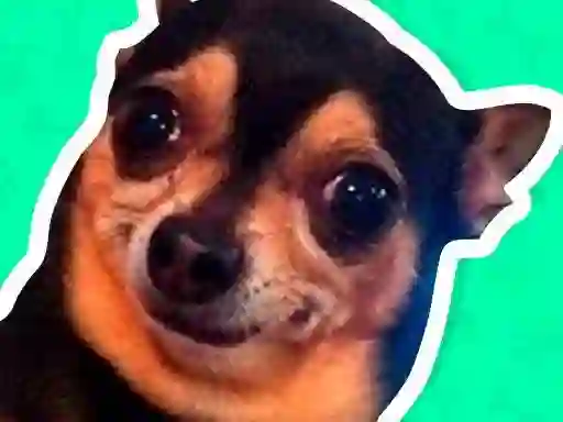 Gêm What meme dog are you ? ar-lein