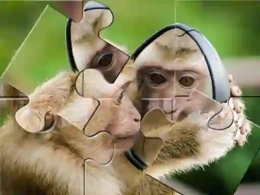 Gêm Chimpanzee Jigsaw ar-lein
