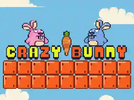 Gêm Crazy Bunny ar-lein