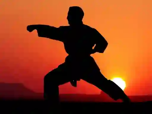 Gêm Karate Sunset Warriors ar-lein
