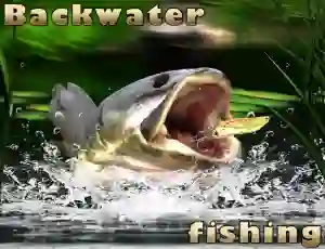 Gêm Backwater Fishing ar-lein