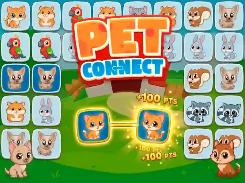 Gêm Pet connect ar-lein