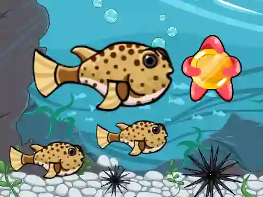 Gêm Run Fish Run ar-lein