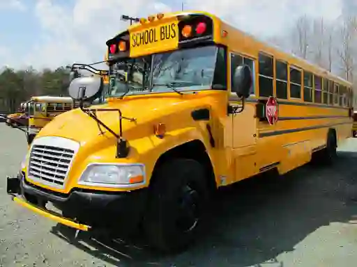 Gêm School Buses Puzzle ar-lein