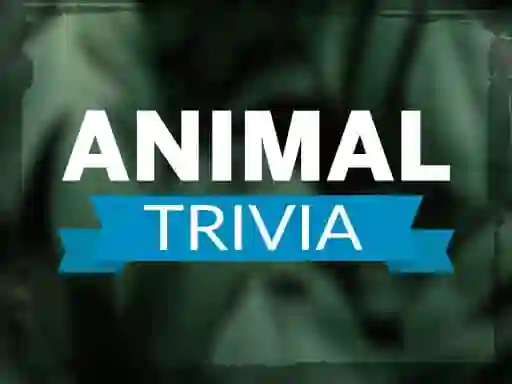 Gêm Animal Trivia ar-lein