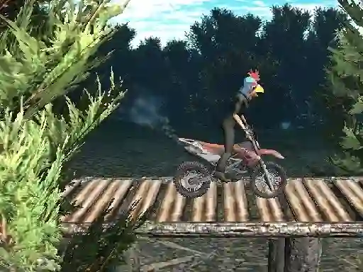 Gêm Bike Trial Xtreme Forest ar-lein