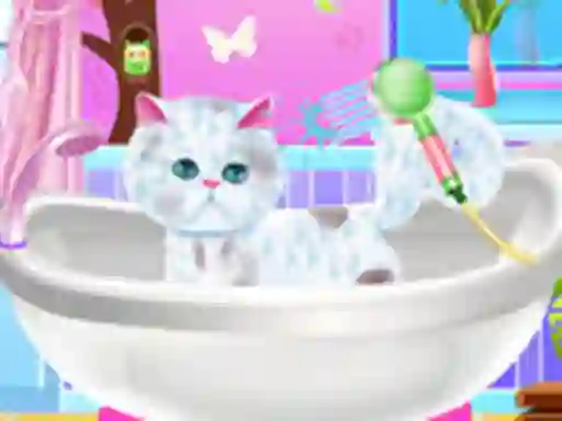 Gêm Excellent Pet Groomer ar-lein