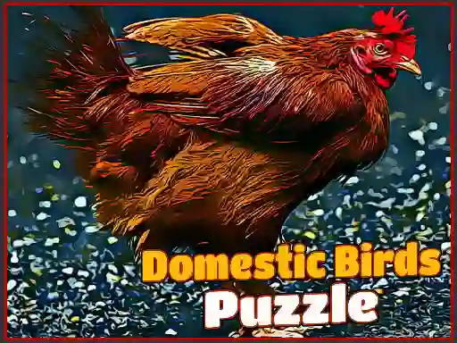Gêm Domestic Birds Puzzle ar-lein