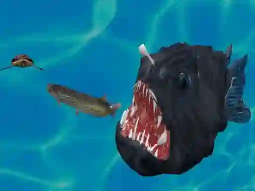 Gêm Fish 3d ar-lein