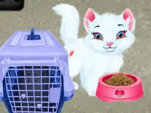 Gêm Baby Taylor Pet Care ar-lein