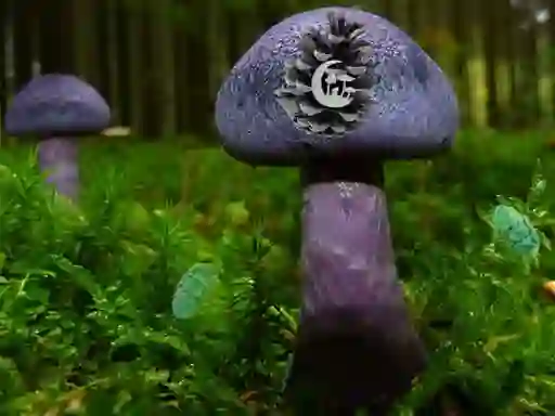Gêm Mushroom Forest Adventure ar-lein