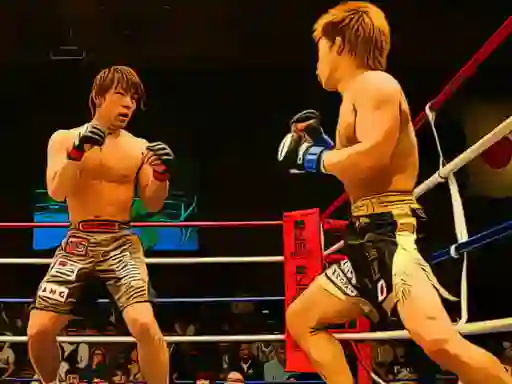 Gêm MMA Fighters Jigsaw ar-lein