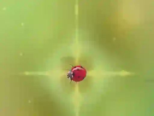 Gêm Pest Control ar-lein