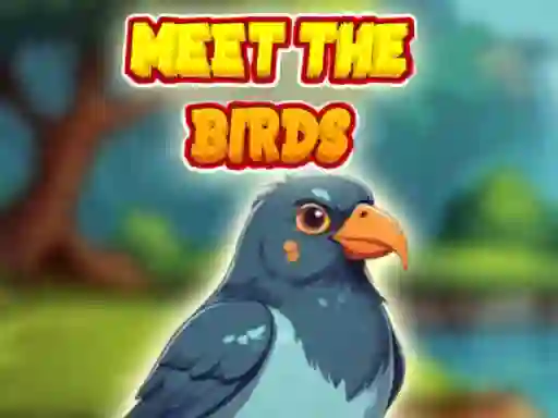 Gêm Meet The Birds ar-lein