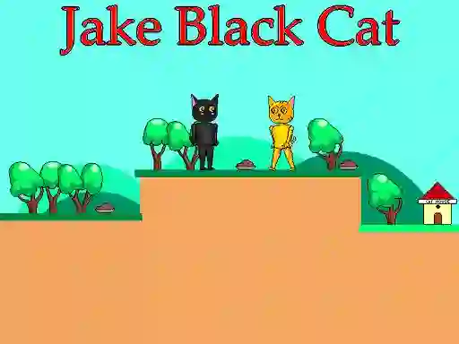 Gêm Jake Black Cat ar-lein
