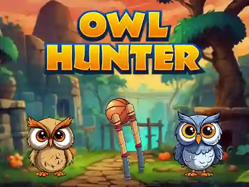 Gêm Owl Hunter ar-lein