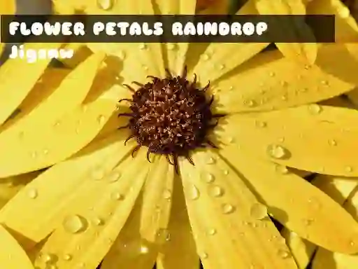 Gêm Flower Petals Raindrop Jigsaw ar-lein