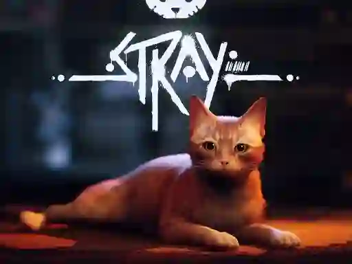Gêm Stray ar-lein