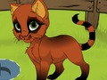 Gêm Fy Kitten  ar-lein