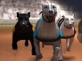 Gêm Greyhound Rasio  ar-lein